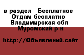  в раздел : Бесплатное » Отдам бесплатно . Владимирская обл.,Муромский р-н